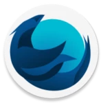 iceraven browser android application logo